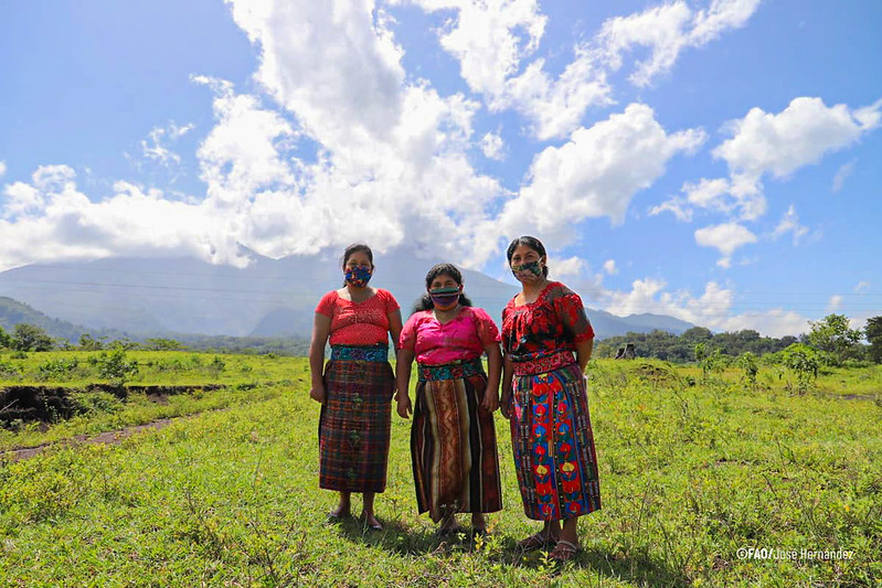 Las mujeres son el 36 % de la fuerza laboral agroalimentaria en América Latina y el&nbsp;Caribe