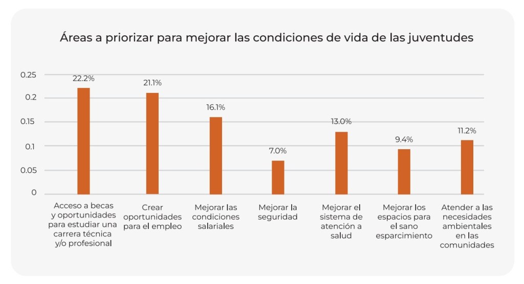 Gráfico con las áreas que las juventudes consideran que se deben priorizar.