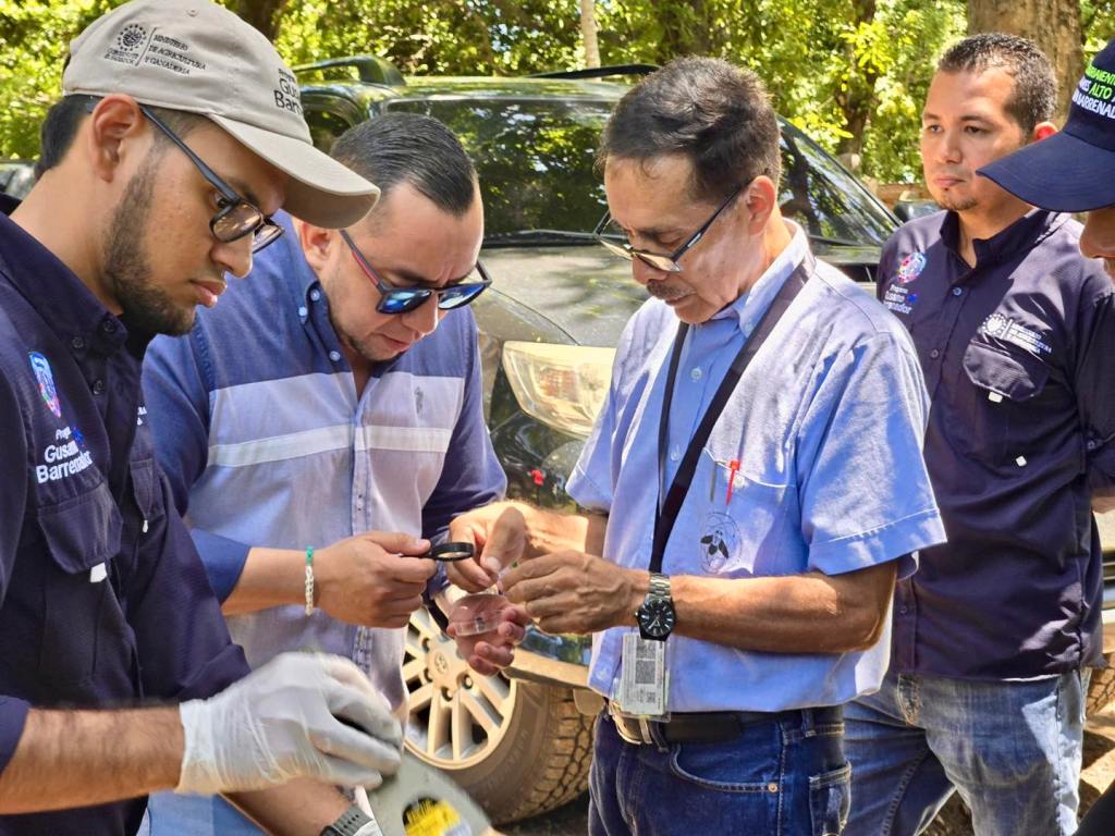 Funcionarios del MAG en una inspección. Imagen cortesía OIRSA